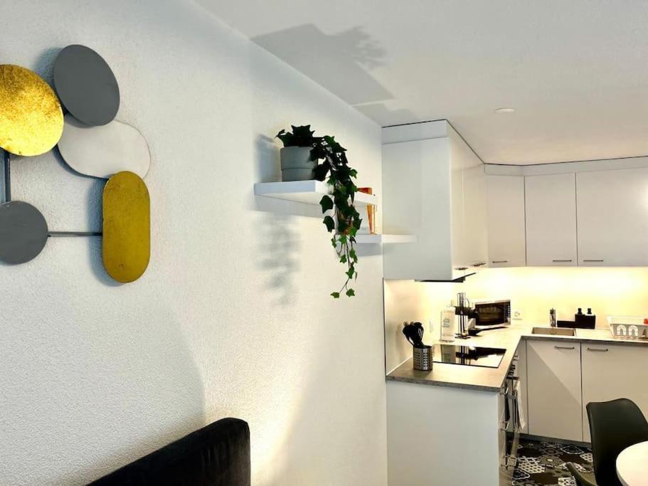 Casa Ambizione Apartment Dietikon Luaran gambar