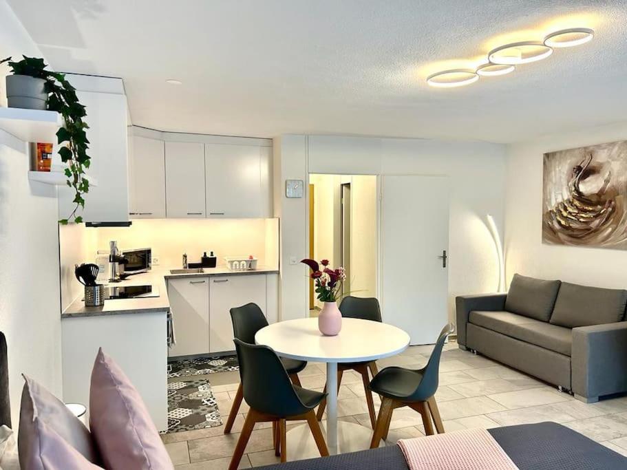 Casa Ambizione Apartment Dietikon Luaran gambar