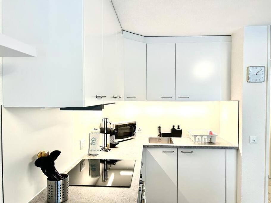 Casa Ambizione Apartment Dietikon Luaran gambar