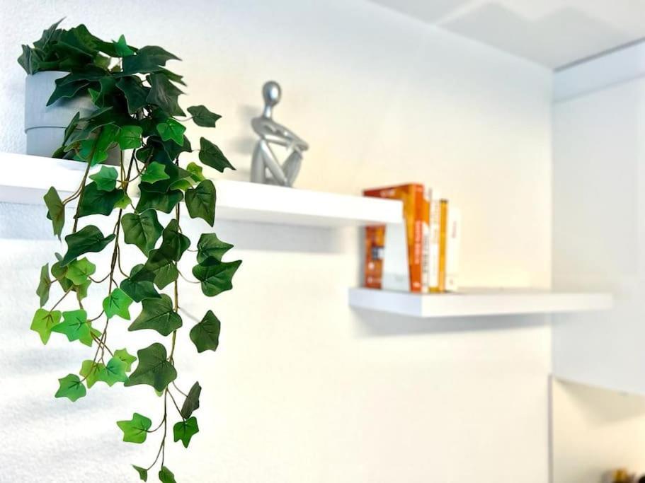 Casa Ambizione Apartment Dietikon Luaran gambar