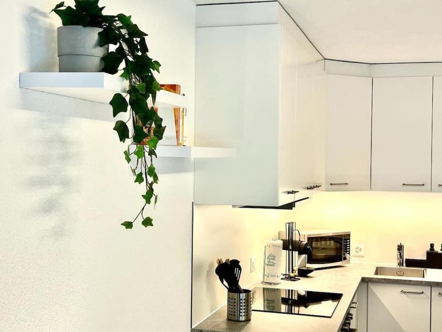 Casa Ambizione Apartment Dietikon Luaran gambar