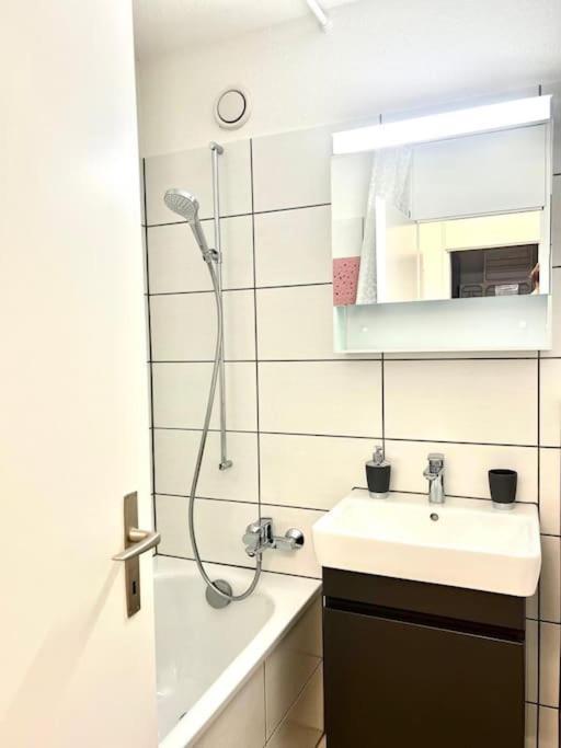 Casa Ambizione Apartment Dietikon Luaran gambar
