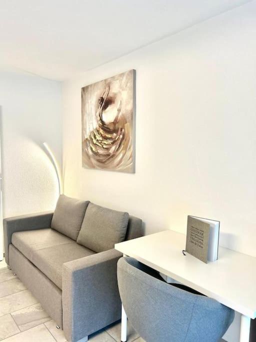 Casa Ambizione Apartment Dietikon Luaran gambar