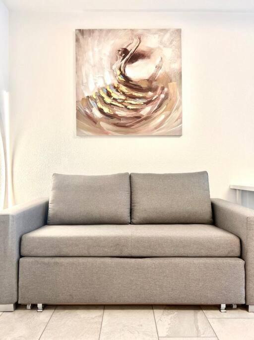 Casa Ambizione Apartment Dietikon Luaran gambar